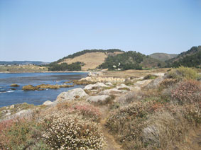 Point Lobos