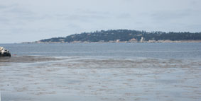 Pebble Beach from Point Lobos