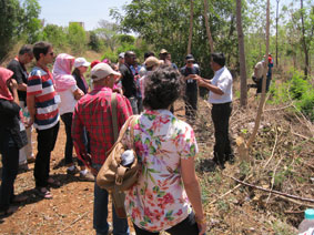 agroforestry