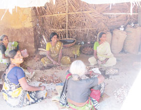 tamarind processing