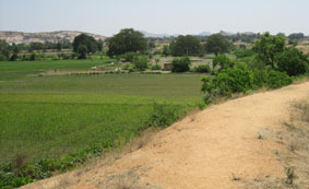 fields below tank bund