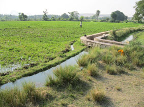 irrigation from well