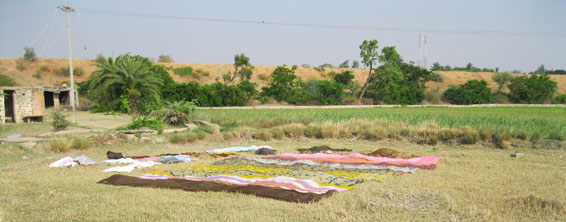 drying laundry