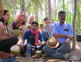 drinking coconuts in betel grove