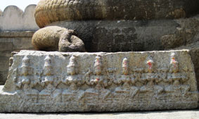 shivas