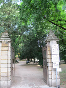 Garden next to hotel