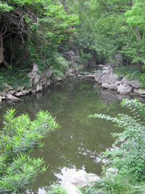 Fudan University gardens