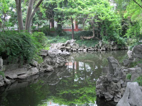 Fudan University gardens