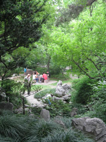 Fudan University gardens