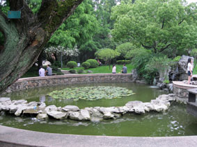 Fudan University gardens