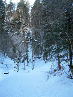 frozen waterfall