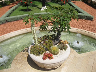 bonsai, upper terraces