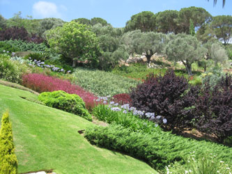 upper terraces blending into native vegetation