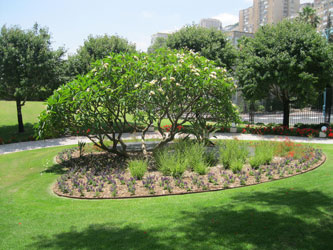 garden by ITC