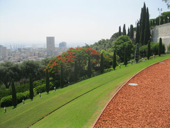 lower terraces