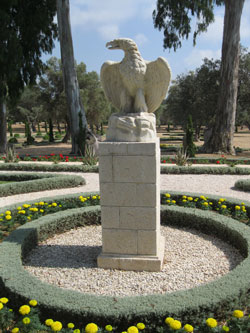 eagle in gardens