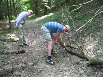 me cutting up a fallen tree