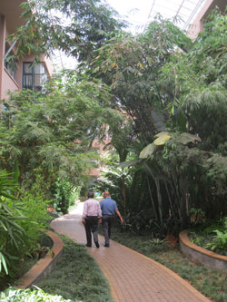 inside UNEP building