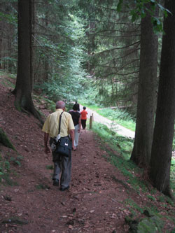 walking in the forest