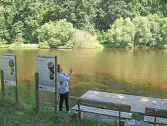 along the Vitavou River, Hluboka