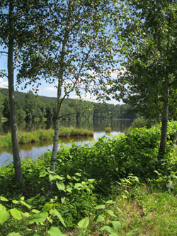 along the Vitavou River, Hluboka