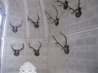 hunting trophies