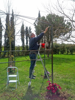 Luigi painting the pergola