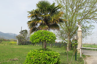 garden by the entrance gate