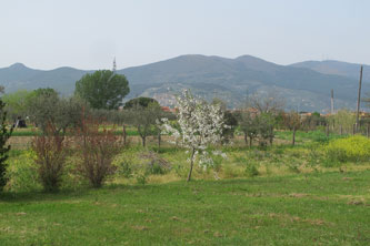 view of the mountains