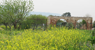 old barn from the back garden