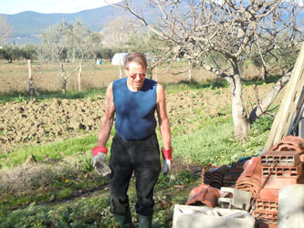 clearing a space for compost bins