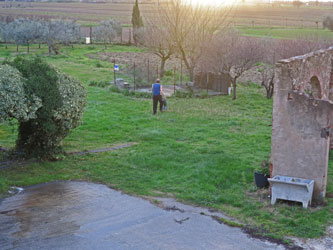 part of the garden from the house