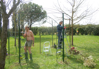 painting the pergola