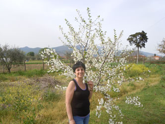 Vida and fruit tree