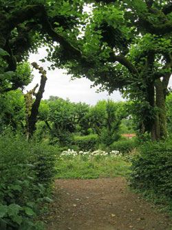 Chateau de Quincize garden