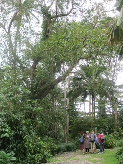 Botanical Garden