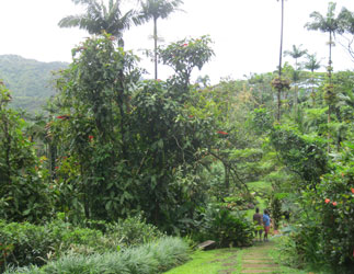 Botanical Garden