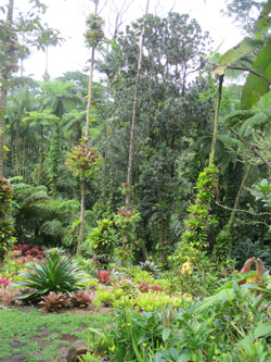 Botanical Garden