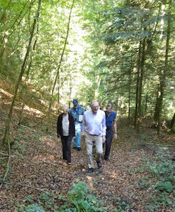 walking in the woods