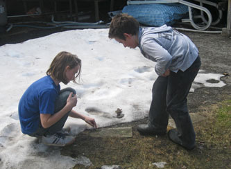 Benji and friend with toads