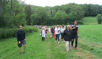 walk through the countryside