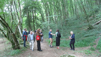 walk through the countryside