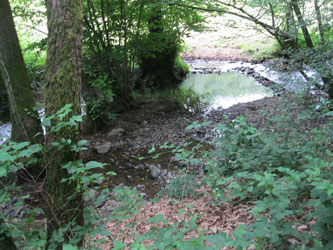 walk through the countryside