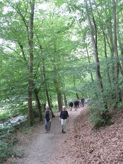 walk through the countryside