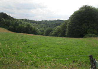 Belgian countryside