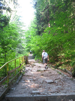 Greg hiking up along stone river