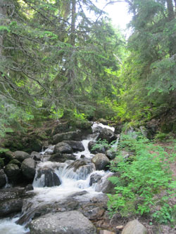 stream flowing into stone river