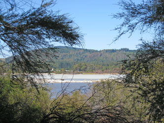 Lake Rotorua