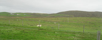 central Shetland mainland
