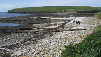 Brough Head